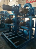 羅茨水(shui)環真空(kōng)機組