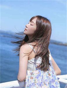 马里布鲨鱼攻击